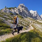 Trail Dog Basics