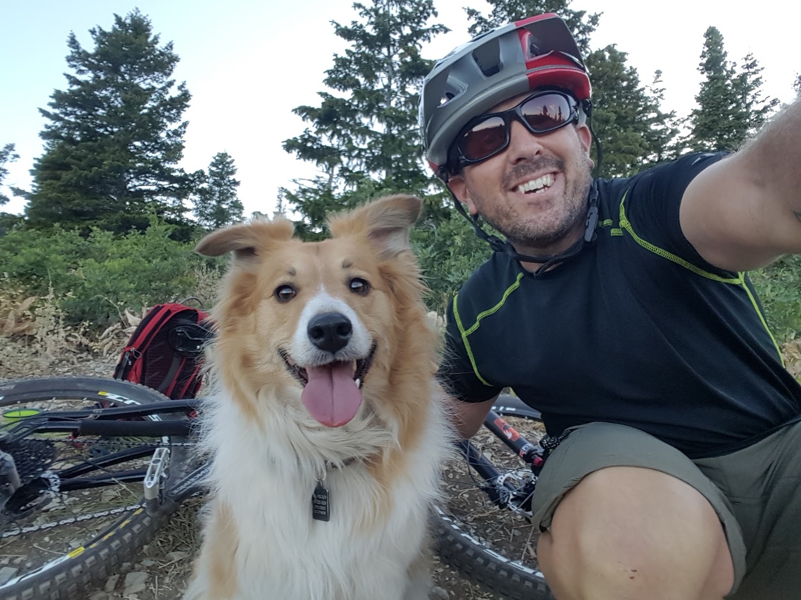 Happy Mountain Bike Dog 