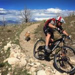 Mountain Bike Dog Basics