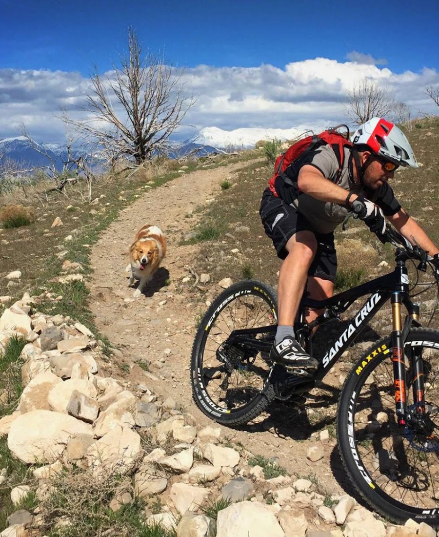 Mountain Bike Dog Basics