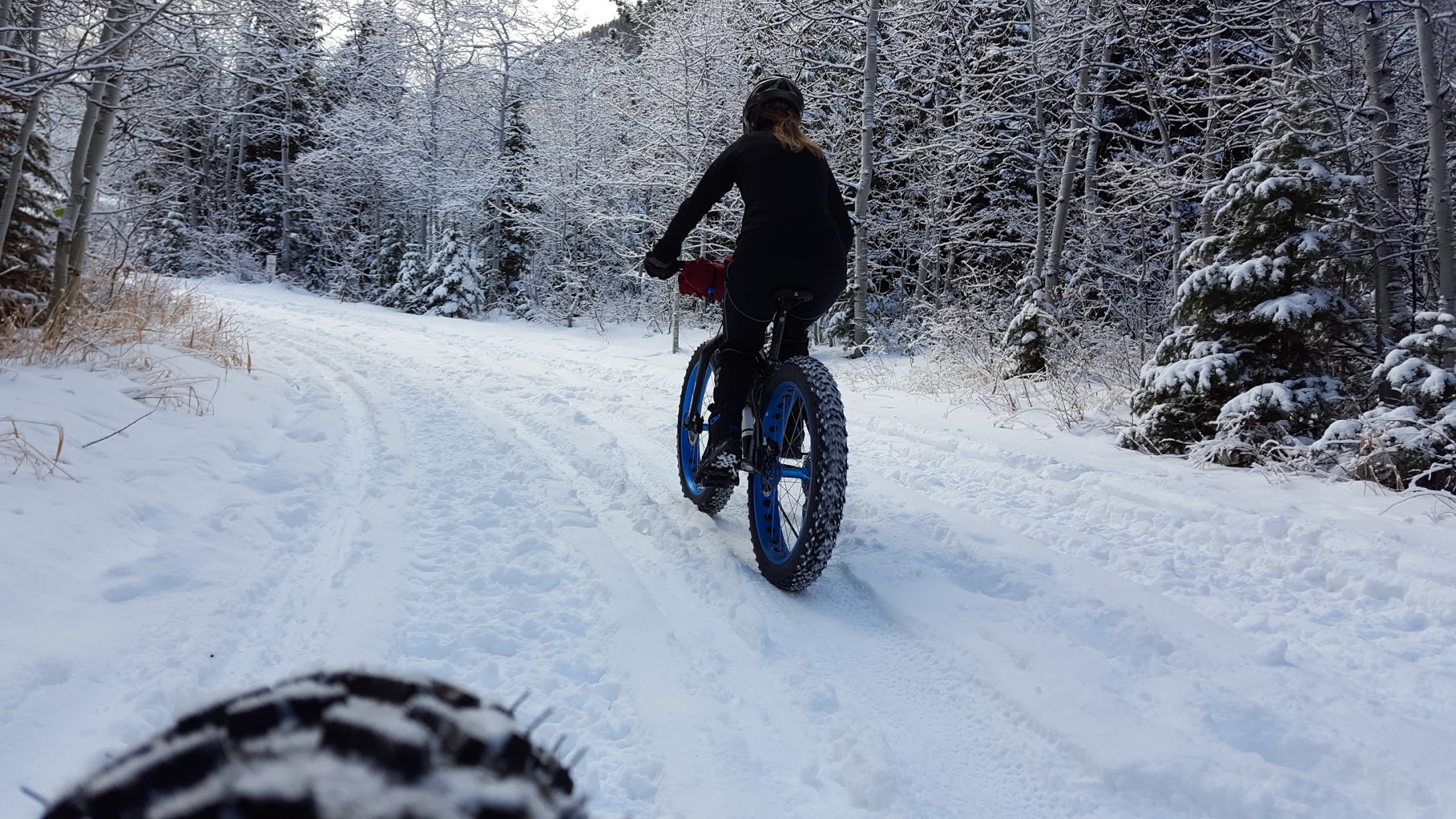 girl riding a fat bike in the snow