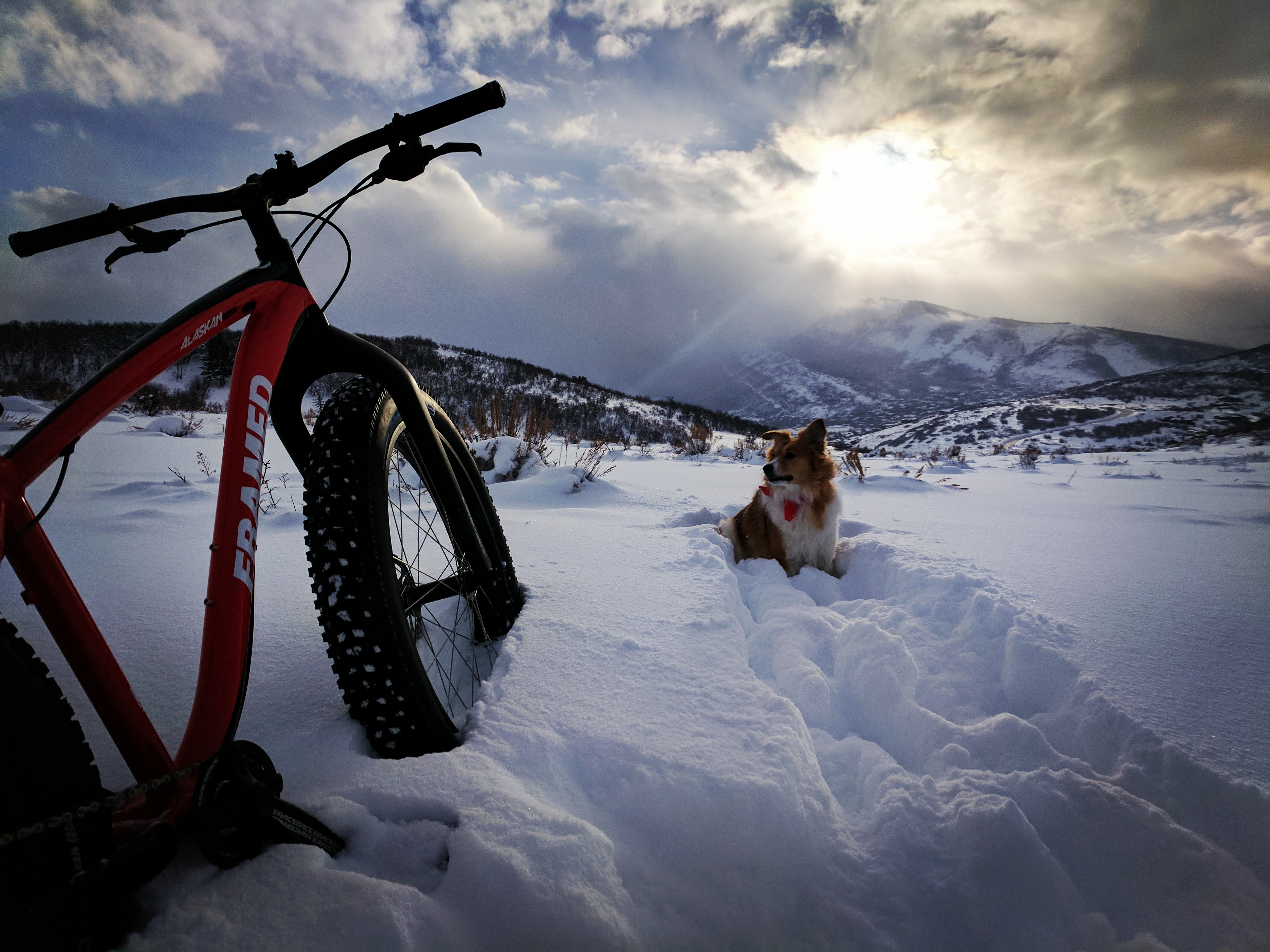 Fat Bike Fundamentals