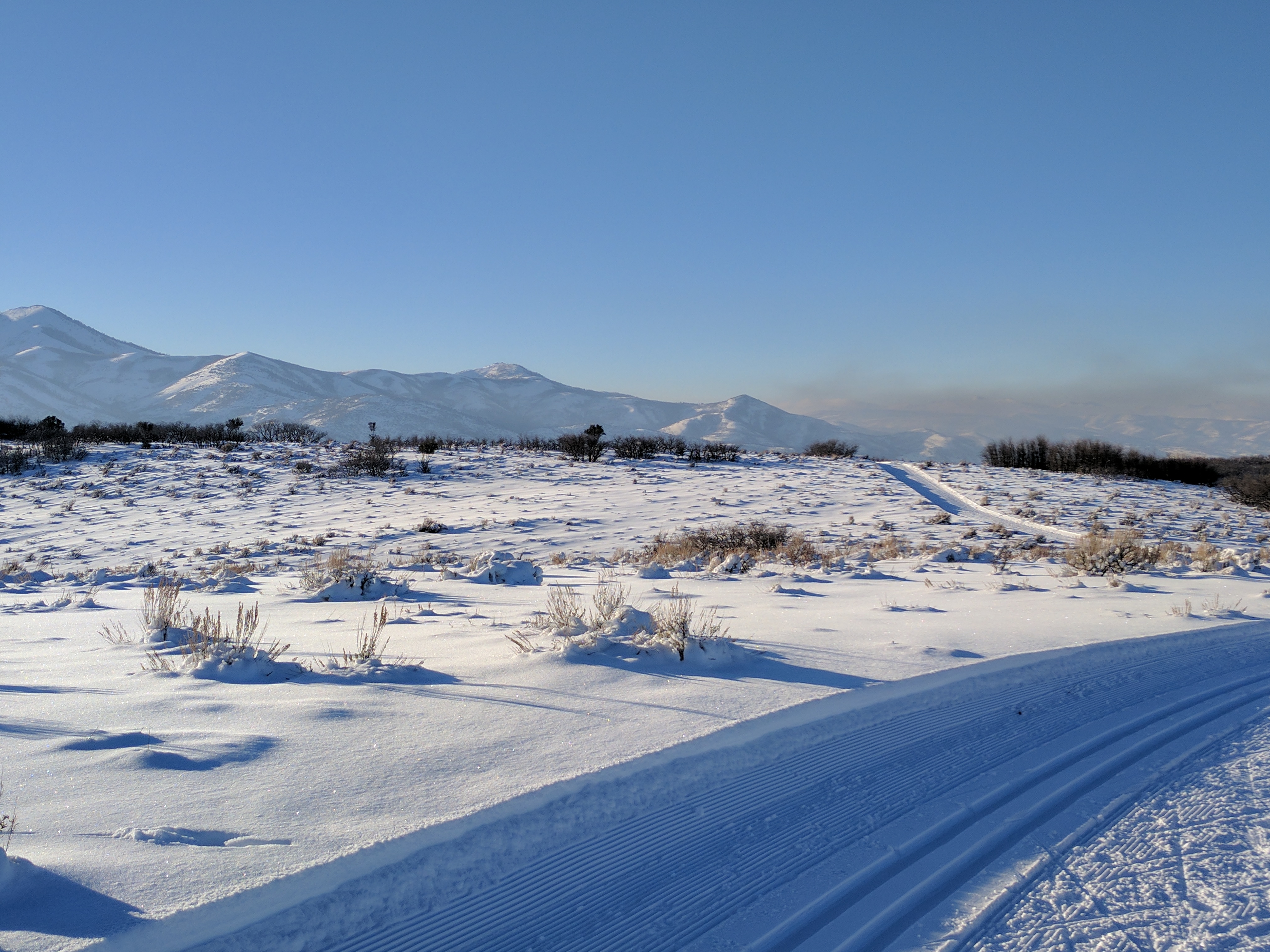 classic cross country ski tracks