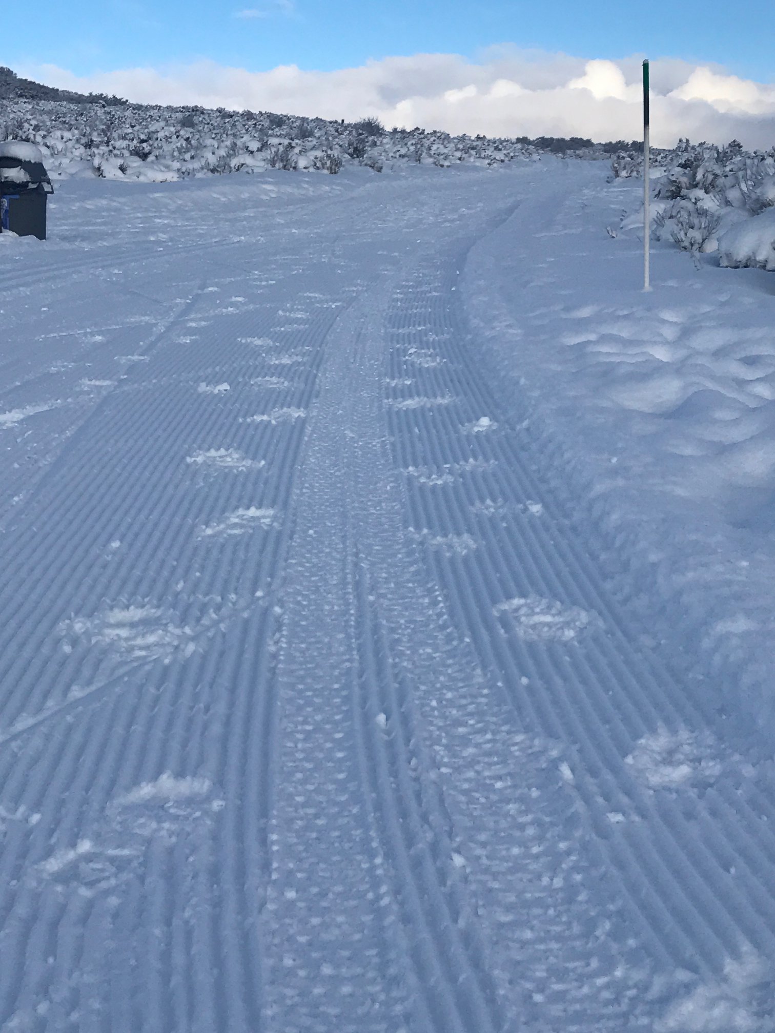 Proper Fat Bike Etiquette on Groomed Cross Country Ski Trails