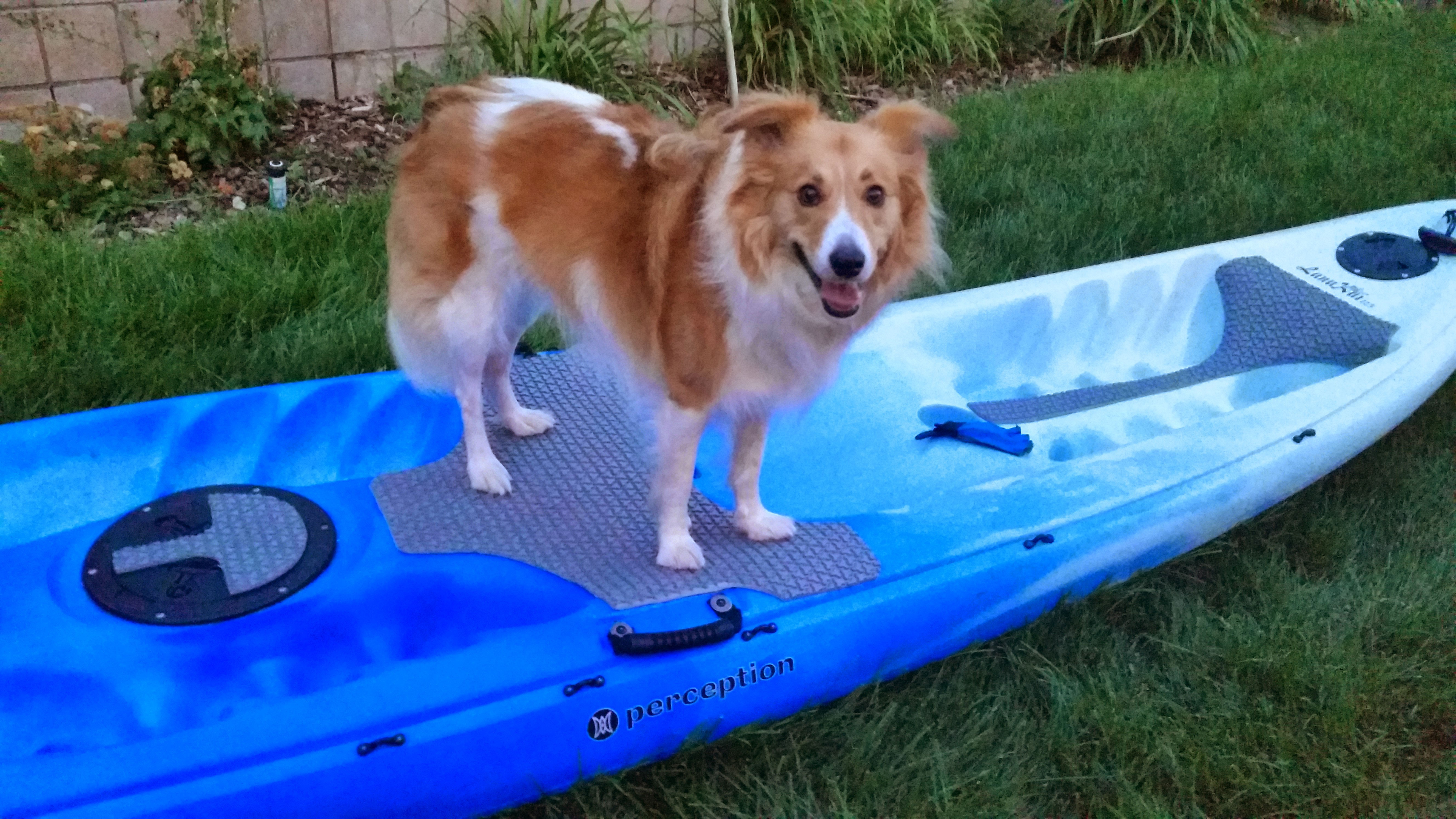 Kayak Traction Mat for Dogs