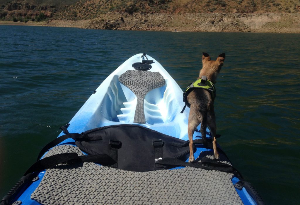 Kayak Traction Mat Adventure Dogs