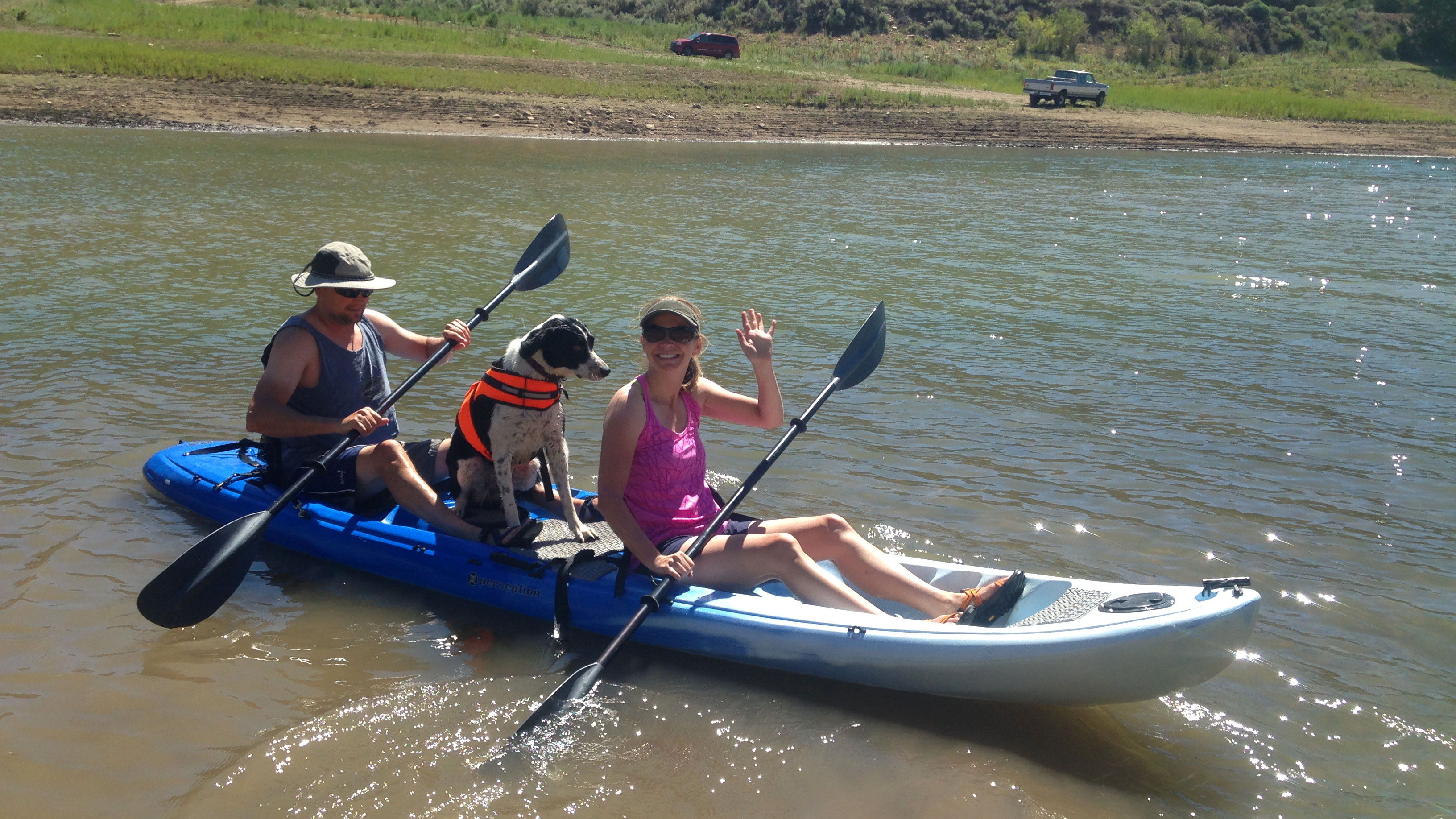 dog on a sit-on-top kayak